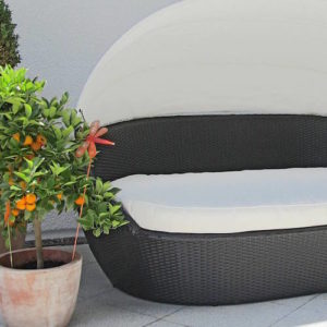 Sonnenmuschel Rattan